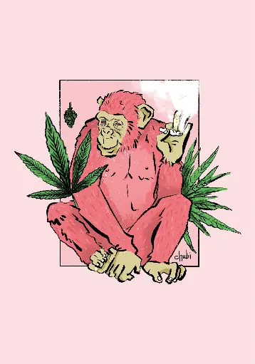 CHANGO